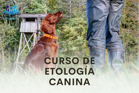CURSO DE ETOLOGÍA CANINA