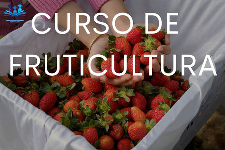 CURSO DE FRUTICULTURA ONLINE