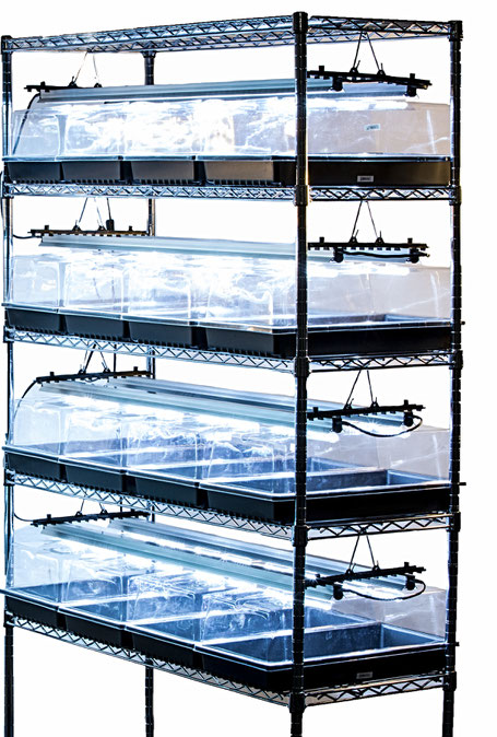 Technical Data SunBlaster Lighting