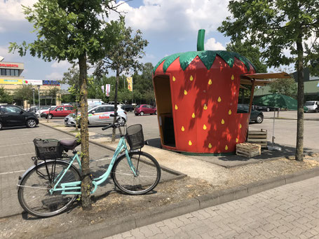 Erdbeerfest 2019 - Einkaufspark Habenhausen