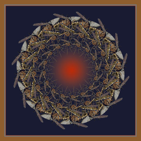 A drop of blood shared in a circle