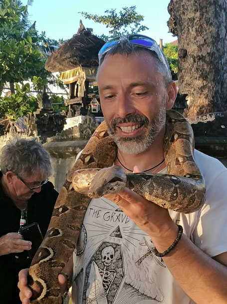 peur de l'avion, peur des attentats, peur des terroristes, agoraphobie, claustrophobie, insecte, phobie sociale, phobie scolaire, soigner une phobie, hypochondriaque, serpent, araignée, chien, 