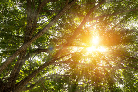 Photo Shutterstock