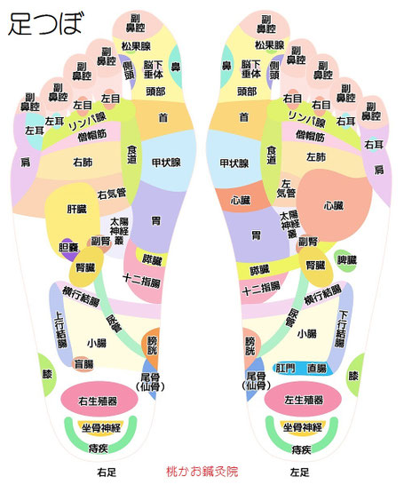 女子活足つぼ 桃かお鍼灸院