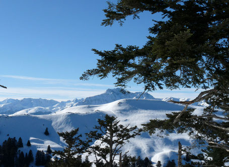 Arbizon, vallée d'Aure depuis crêtes de Nistos-Cap-Nestès