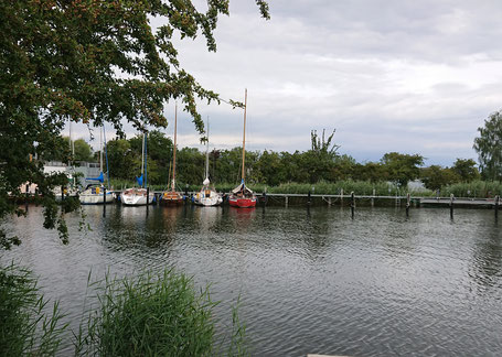 der tägliche Ausblick beim Weg zur Arbeit (aber nein, ich fahre mit dem Rad, nicht mit dem Boot)