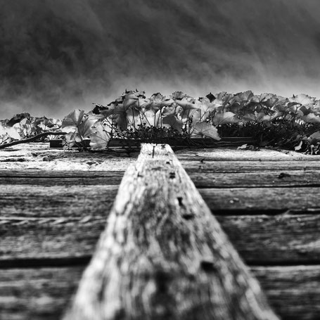 Der Blick nach oben
