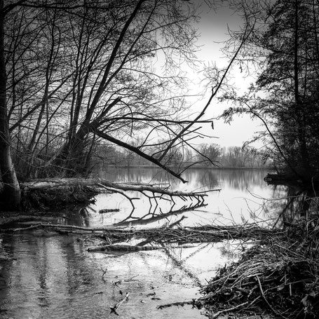 Baiersdorfer Badeweiher