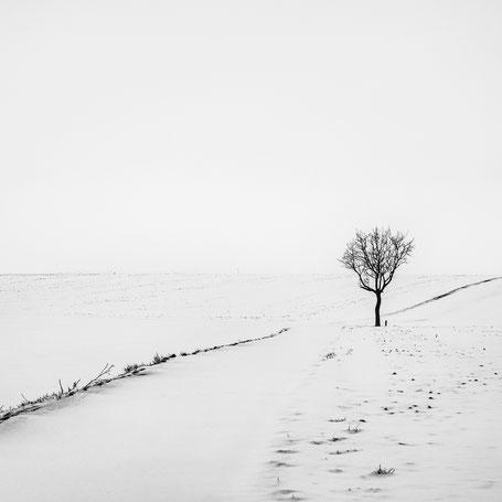 Stille im Schnee