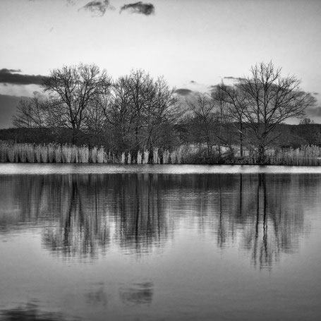 Am Neuhauser Wasserschloss