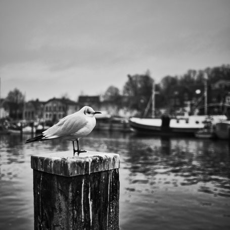 Kalt am Hafen in Eckernförde