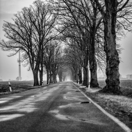 Die Allee
