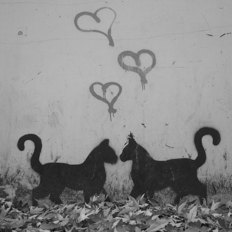 Herbstliebe