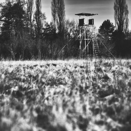 Jägerstand im Morgenlicht