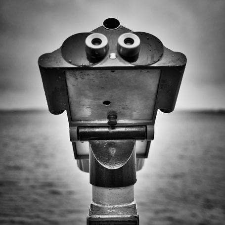 Alien an der Eckernförder Bucht gesichtet