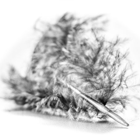 dreamy feather
