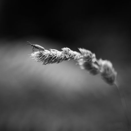Vorsicht!!!! ich springe
