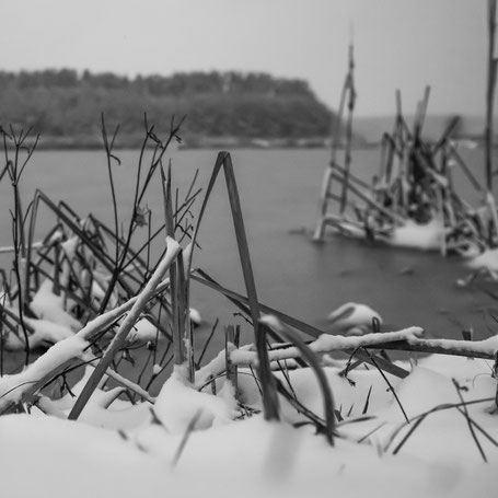 Winter am Karpfenweiher