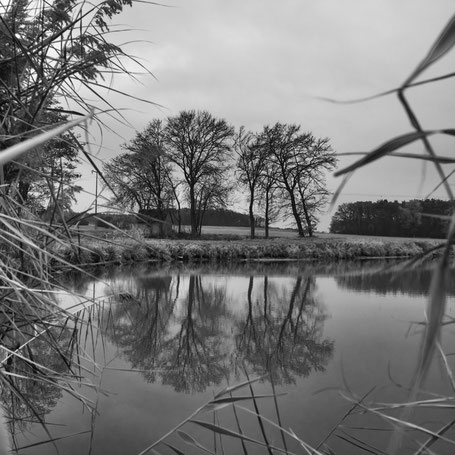 Spiegelweiher