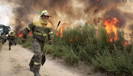 curso de extinción de incendios forestales
