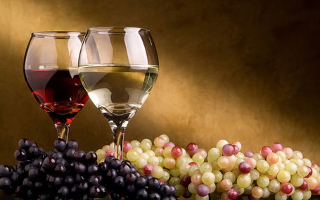 curso de enología, viticultura y cata