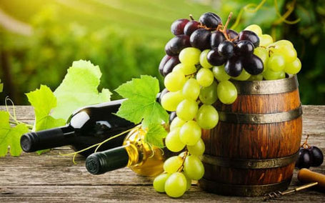 curso de cata de vinos