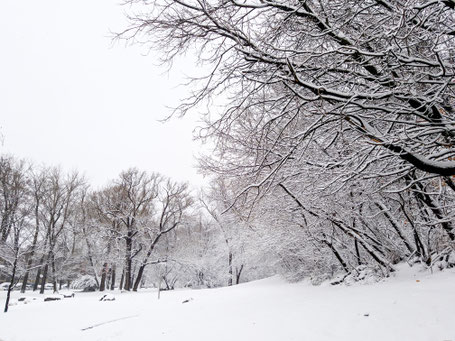 Weg bedeckt mit Schnee