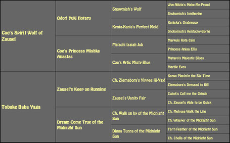 Zausel's Knock on Wood - Ahnentafel / Pedigree