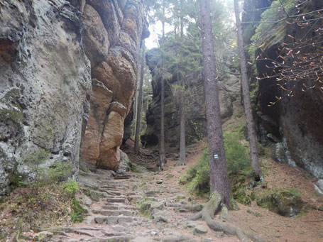 Dogtrekking Dogtrekking Dogtrekking Dogtrekking Elbsandstein-Dogtrekking ESDT Harz-Dogtrekking