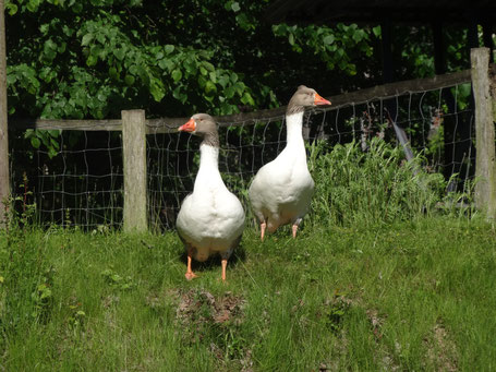 Nette Begrüßung