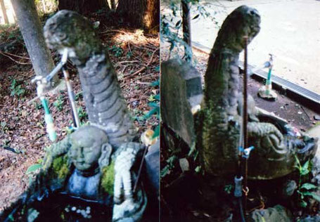 半魚人型宇宙人=龍神