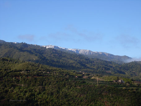 Nieve en la cumbre, febr. 2009
