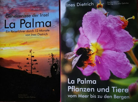 Buch-Cover eines Küstenlandschaft mit Sonnenuntergang_eines Rosa Blüte mit zerknitterten Blütenblättern und Hummel