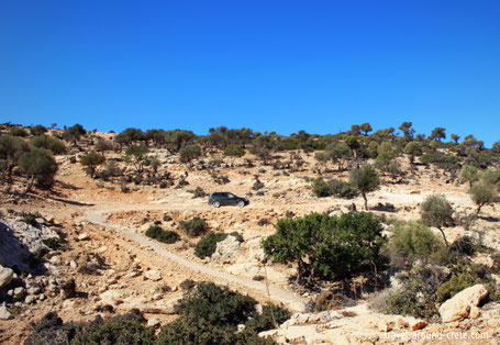 Martsalo Parkplatz, Martsalo Schlucht, Mires Schluchten, Kreta Schluchten, Kreta wandern, Palmen auf Kreta