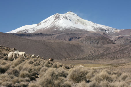 Trekking Touren in den Anden Boliviens