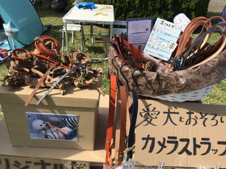 犬連れ イベント チワワエキスポ