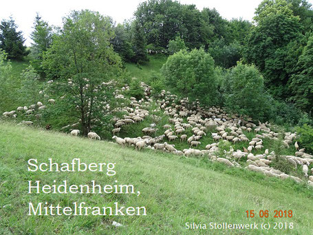 Schafberg 91719 Heidenheim
