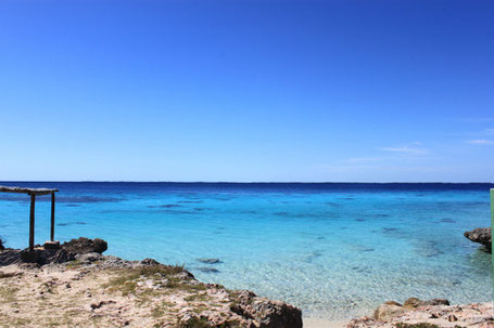 Buceo Bahía de Cochinos Cuba