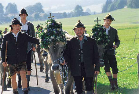 Viehscheid