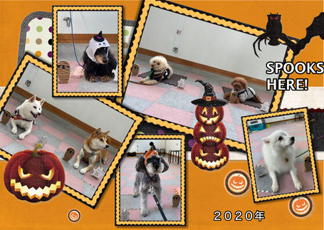 大島獣医科病院 犬との暮らし方教室 ハロウィン