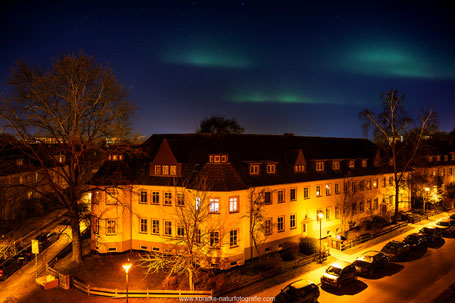 Alien Invasion... oder Habitataufnahme "meiner" Birke;-)