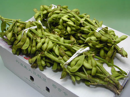 自家農園の産地直送 - おにぎりと野菜のレストラン 千華 ~丹波 自家農園の産地直送 - おにぎりと野菜のレストラン 千華 ~丹波