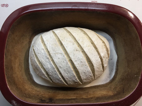 Brot aus dem Zaubermeister von Pampered Chef