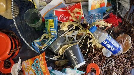 Déchets plastiques