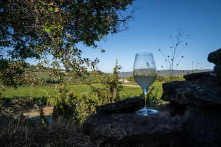 Bild: Vignobles Chasson-Château Blanc, Rossillon