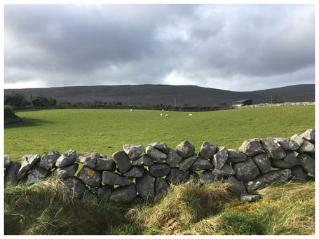irish ireland burren artist clare