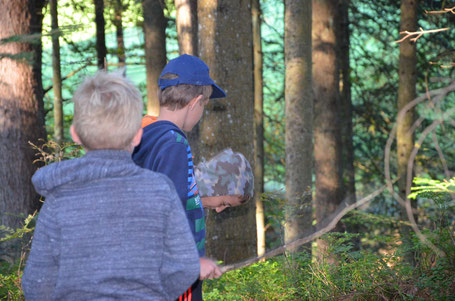 Entdeckungsreise - die Jungs im Wald in Kitzbühel