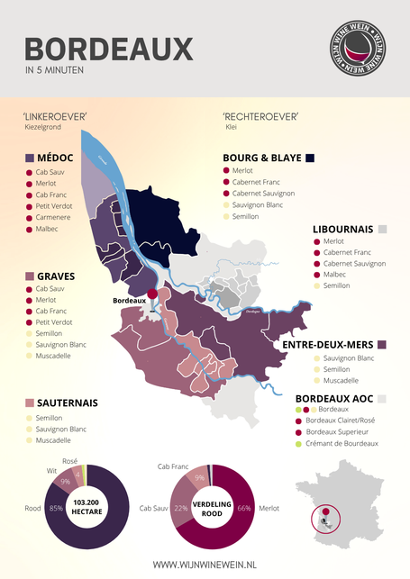 Bordeaux wijn infographic