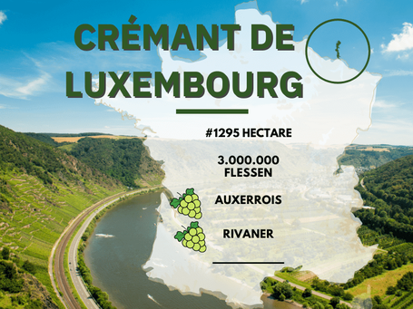 Cremant de Luxembourg wijnregio productie en druif