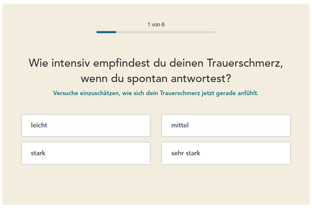 Trauertest - ein Online-Fragetest für Selbständige und Unternehmerpersönlichkeiten auf www.trauertest.de
